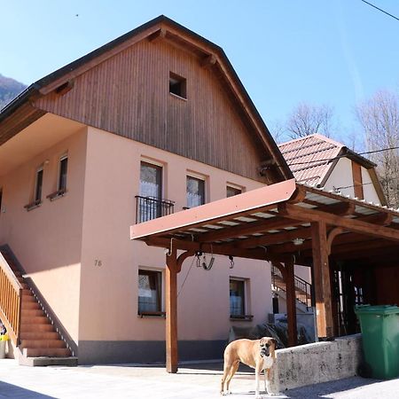 Apartmán Apartma Na Vasi Zaga Exteriér fotografie